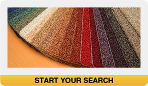 Start your Search