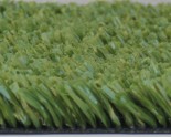 Landscape (Atrificial Grass/ Synthetic Turf/ Fake Grass)