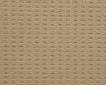 Nevada Sands (Modern and Affordable)