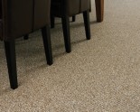 Sensations (100% SDN) Very Modern and serviceable