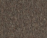 Tech Base (RENTAL PROPERTY CARPET)