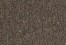 Tech Base (RENTAL PROPERTY CARPET)