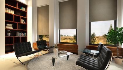 Roller Blinds