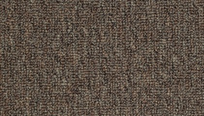 Tech Base (RENTAL PROPERTY CARPET)